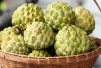 আতা ফলের পুষ্টিগুণ জানলে অবাক হবেন!