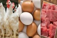 মুরগি-ও-ডিমের-বাজার-আগের-মতোই-নিম্নমুখী