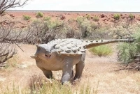  এক অদ্ভুত প্রাণীর সন্ধান!