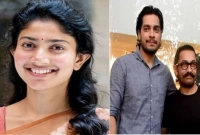 এবার সাই পল্লবীর সঙ্গে আমির পুত্র জুনাইদ খান