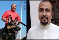 শুটিং সেটে কুকুরের কাণ্ড!