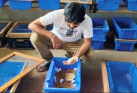 ইঁদুর-চাষ-করে-লাখ-টাকা-আয়-করছেন-প্রতি-মাসে