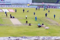 যেকারণে ক্রিকেট খেলে না চীন, রাশিয়া, জার্মানি, ফ্রান্স!