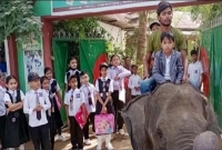 ভাগ্নে-ভাগ্নির রেজাল্ট শুনতে আনন্দে হাতি নিয়ে স্কুলে হাজির মামা