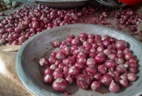 জানেন-আজ-কত-টাকা-কেজিতে-বিক্রি-হচ্ছে-পেঁয়াজ-