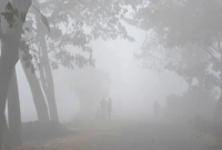 জানেন হঠাৎ কত ডিগ্রিতে নামলো কুড়িগ্রামের তাপমাত্র?