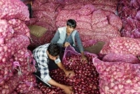 ক্রেতা না থাকায় পেঁয়াজে পচন, বাড়তি দাম হেঁকে গ্যাঁড়াকলে আড়তদাররা