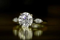  ৯ কোটি টাকার আংটি পাওয়া গেল ময়লার মধ্যে!