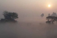 কতদিন-থাকবে-চলমান-কুয়াশা-শৈত্যপ্রবাহ-ও-শীতের-দাপট--যা-জানা-গেল