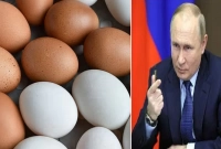 দাম বেশি ডিমের, তাই ক্ষমা চাইলেন পুতিন!
