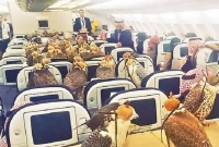 ৮০ টি বাজপাখিদের জন্য বিমানের টিকিট সৌদি যুবরাজের