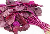 লালশাক খাওয়ার ৬ উপকারিতা