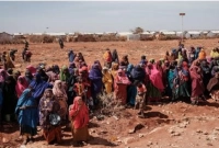 বিশ্বের কোন দেশে কোন আইন নেই?