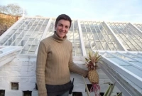 সোনার চেয়েও বেশি দাম যে ফলের, ৩৩ লাখ টাকা একটির দামই!