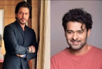 শুরুতেই প্রভাসের কাছে ধরাশায়ী বলিউড বাদশাহ শাহরুখ খান!