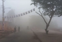 ঘনকুয়াশার চাঁদরে ঢাকা পড়েছে বাগেরহাট! বিভিন্ন ফসলের ক্ষতির আশঙ্কা