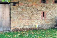 এই একটি ছবি মানুষের হুঁশ উড়িয়ে দিয়েছে! কেন জানেন?