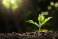 এবার ইলেক্ট্রনিক মাটি আনার ঘোষণা দিয়েছেন বিজ্ঞানীরা