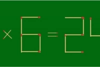 দুইটি কাঠি যোগ করলেই মিলবে অংক, সঠিক উত্তর পারলেই আপনি জিনিয়াস!