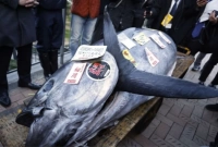  ৮ কোটি ৮০ লাখ টাকা একটি মাছের দাম!