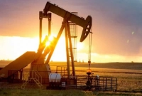 বড় সুখবর, কমলো তেলের দাম