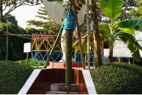 ছড়িটি ৭ ফুট লম্বা, ধরেছে তিন হাজার কলা!