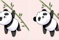 আপনি কতটা জিনিয়াস, ছবিটি বলে দেবে