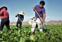 যারা ইতালি যেতে চান তাদের জন্য বিরাট সুখবর!