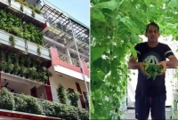 জমি ছাড়াই হাইড্রোপনিক পদ্ধতিতে চাষবাস, ৭০ লাখ টাকা বছরে আয়