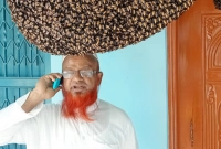 মৌমাছির সঙ্গে পরিবারের সদস্যদের বসবাস!