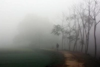 দেশের সর্বনিম্ন তাপমাত্রা রেকর্ড করা হয়েছে শ্রীমঙ্গলে