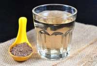 কোন প্রাণী পানি না খেয়ে বেঁচে থাকতে পারে?