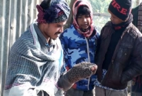 হৃদয় নামের এই যুবকের হাতে বসে থাকে হাজারো মৌমাছি হৃদয় নামের এই যুবকের হাতে বসে থাকে হাজারো মৌমাছি