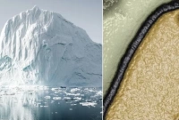 ৪৮ হাজার বছরের পুরনো ভয়ঙ্কর জম্বি ভাইরাস বেরোবে বরফ গললেই