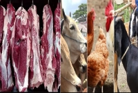কমেছে মাংস, গরু, ছাগল, হাঁস, মুরগির দাম, ৩ বছরের মধ্যে সর্বনিম্ন