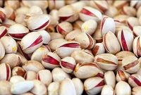 পেস্তা বাদাম নিয়ে যে ভুল ধারণা অনেকেরই