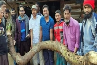 ২৫০০ টাকায় বিক্রি হলো এক কচু!