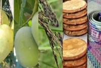 কীভাবে নির্ধারণ হয় জিআই সনদ?