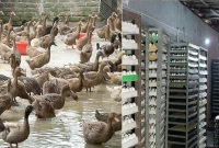 মাত্র ১৬০০ টাকায় শুরু, এখন জাকিরের মাসিক আয় ৫ লাখ টাকা মাত্র ১৬০০ টাকায় শুরু, এখন জাকিরের মাসিক আয় ৫ লাখ টাকা