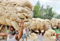 বাংলাদেশের-পাটপণ্য-রপ্তানিতে-নতুন-বিধিনিষেধ-ভারতের