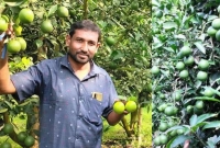 শুরু মাত্র এক লাখ টাকায়, এখন বছরে আয় ২৫ লাখ!