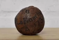 ২ কোটি টাকা এক লেবুর দাম!