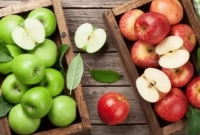 কোন আপেল বেশি উপকারী, লাল নাকি সবুজ?