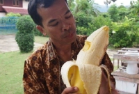 এক কলাতেই মিটবে তিন বেলার ক্ষুধা 