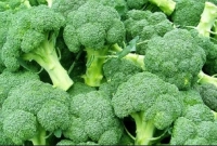 যে ভুল করবেন না ব্রোকলি রান্নার সময়!