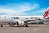 ইঁদুরের ‘ভয়ে’ ৩ দিনের জন্য বিমানের উড্ডয়ন বাতিল