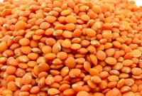 জানেন কী হয় প্রতিদিন মসুর ডাল খেলে