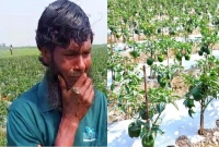 কাঁদছেন এই তরুণ কৃষক!