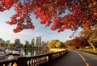 যে উপায়ে পাবেন কানাডায় স্থায়ীভাবে থাকার ভিসা