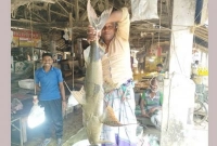 প্রথমে-ভেবেছিলেন-জালটাতে-কুমির-আটকে-গেছে-